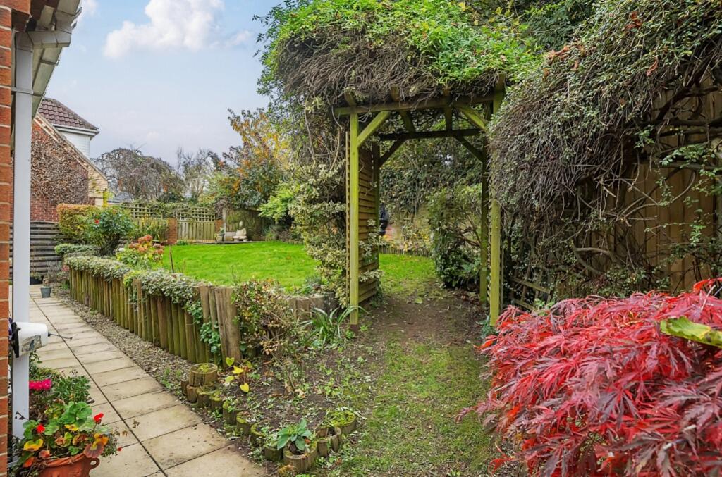 Back Garden