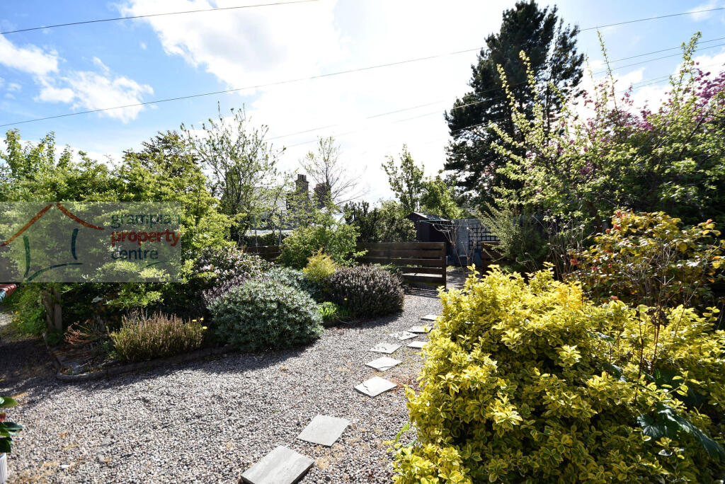garden 2.JPG
