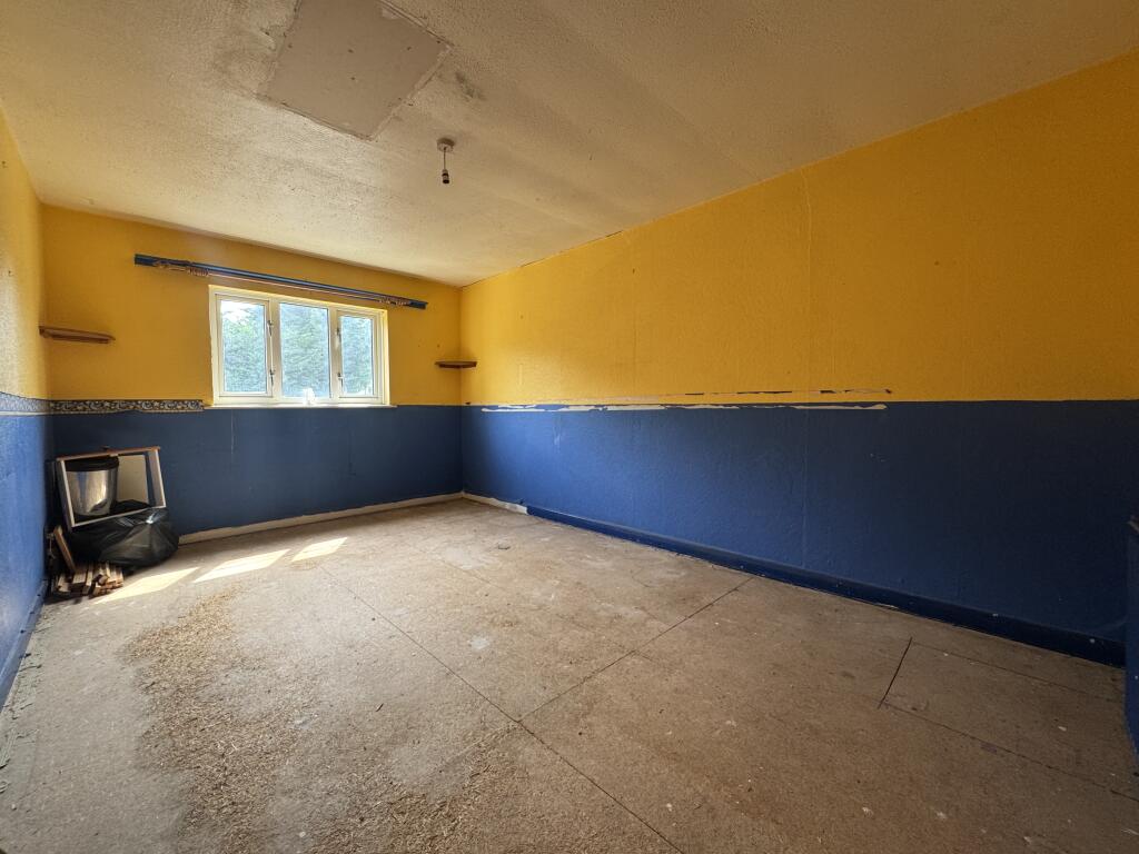 IMG 1106 T202508141031.jpeg