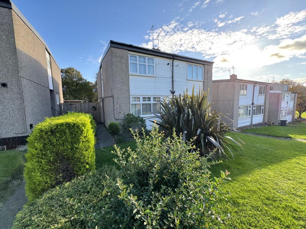 IMG_6521