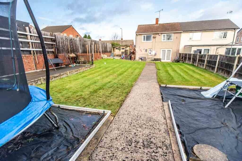 Ted &amp; Tortois...