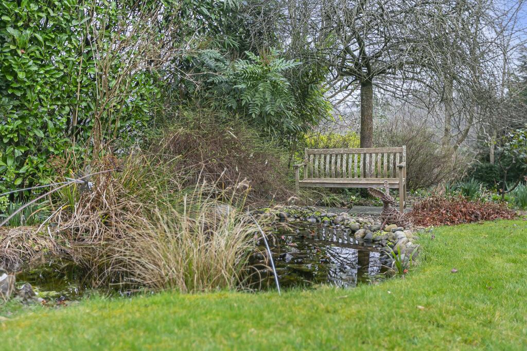 Pond