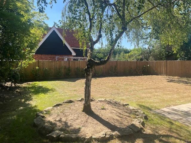 New garden photos.jpg