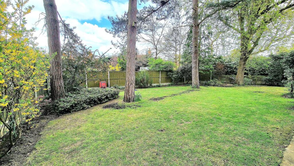 REAR GARDEN 2.jpg