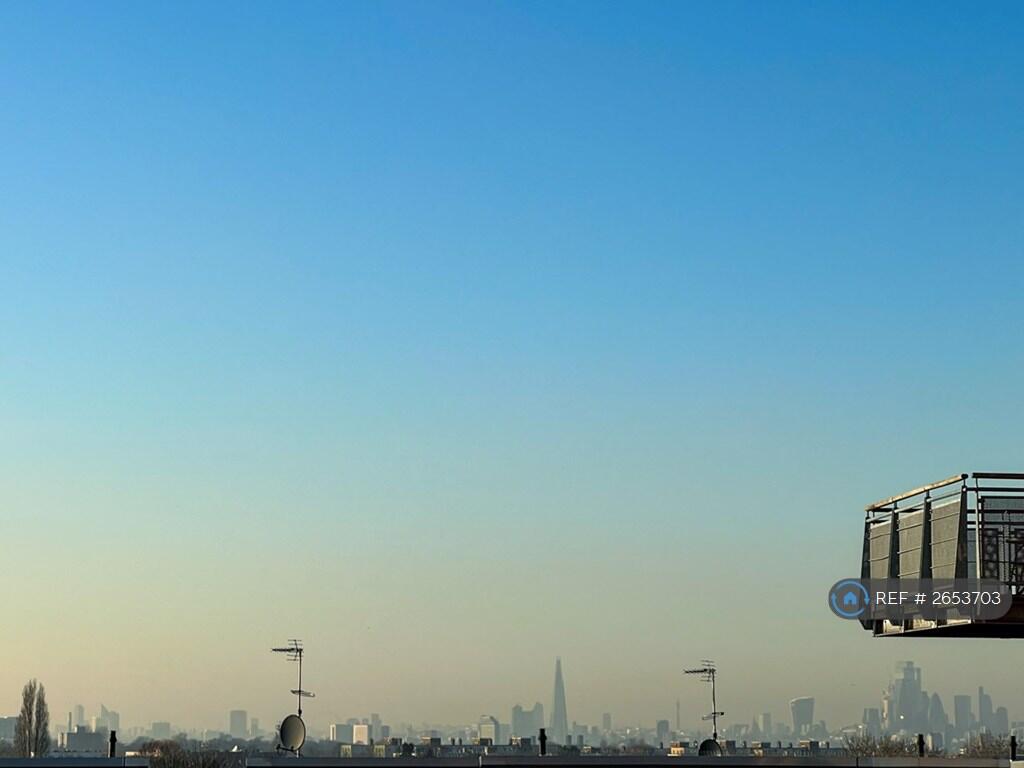 Skyline View