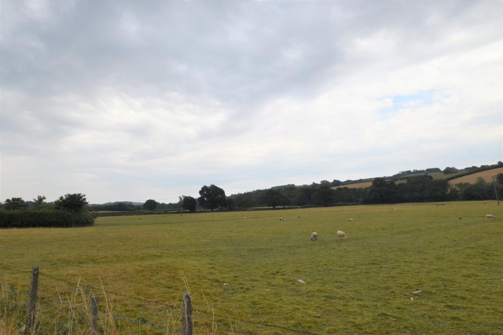 Shillingford Seddons