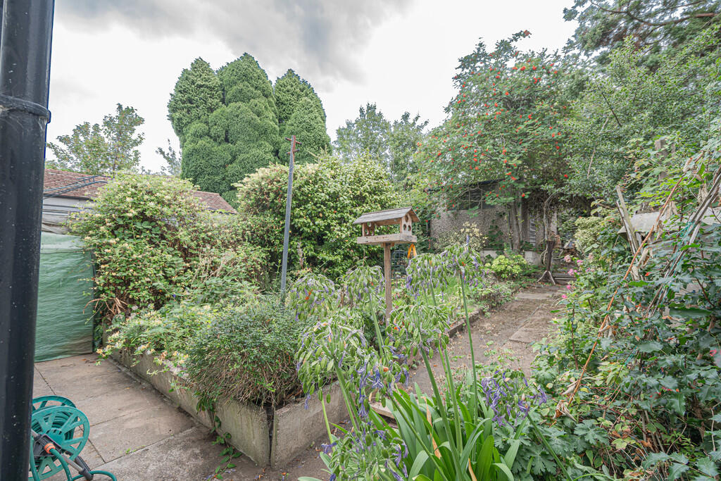 20250819-DSC06206...