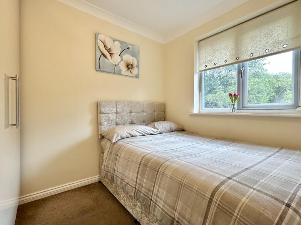 IMG_E6623.JPG