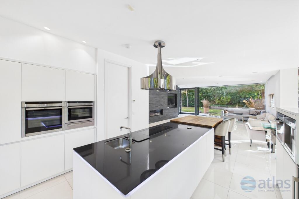 Kitchen / Dining / Living Area