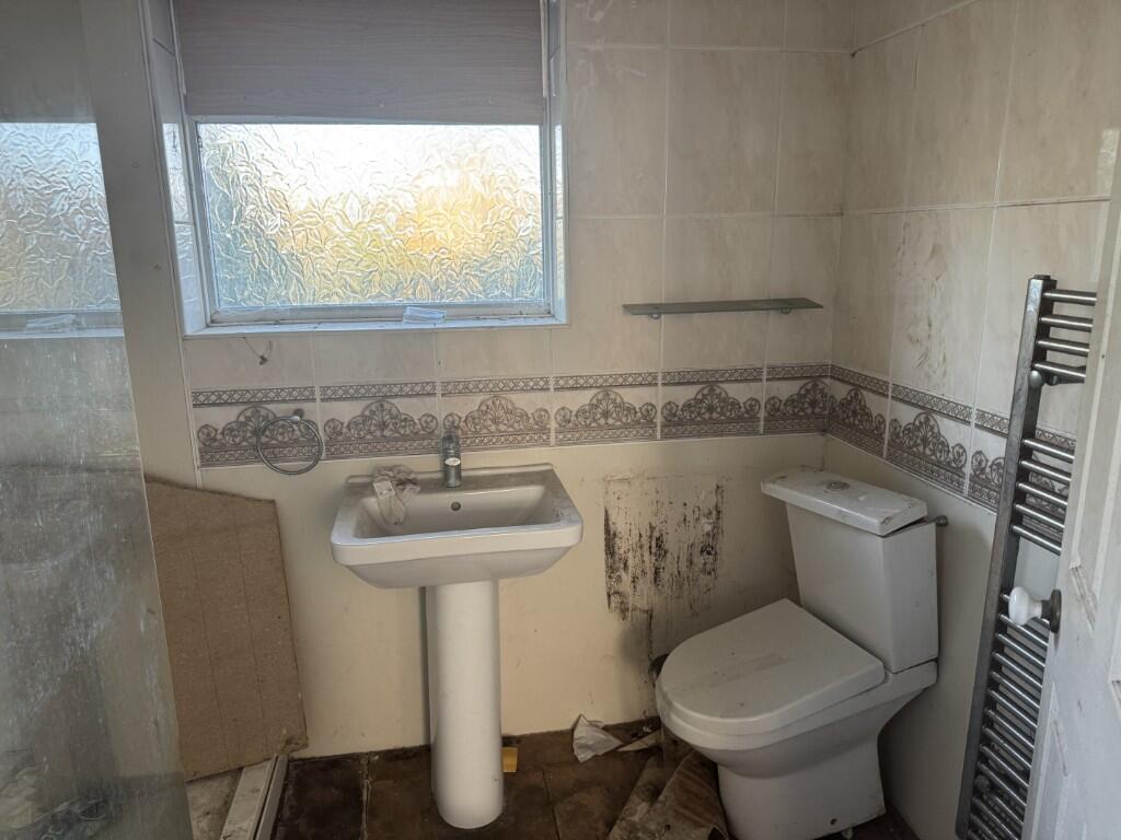 7  Medium  T202511191322.jpg