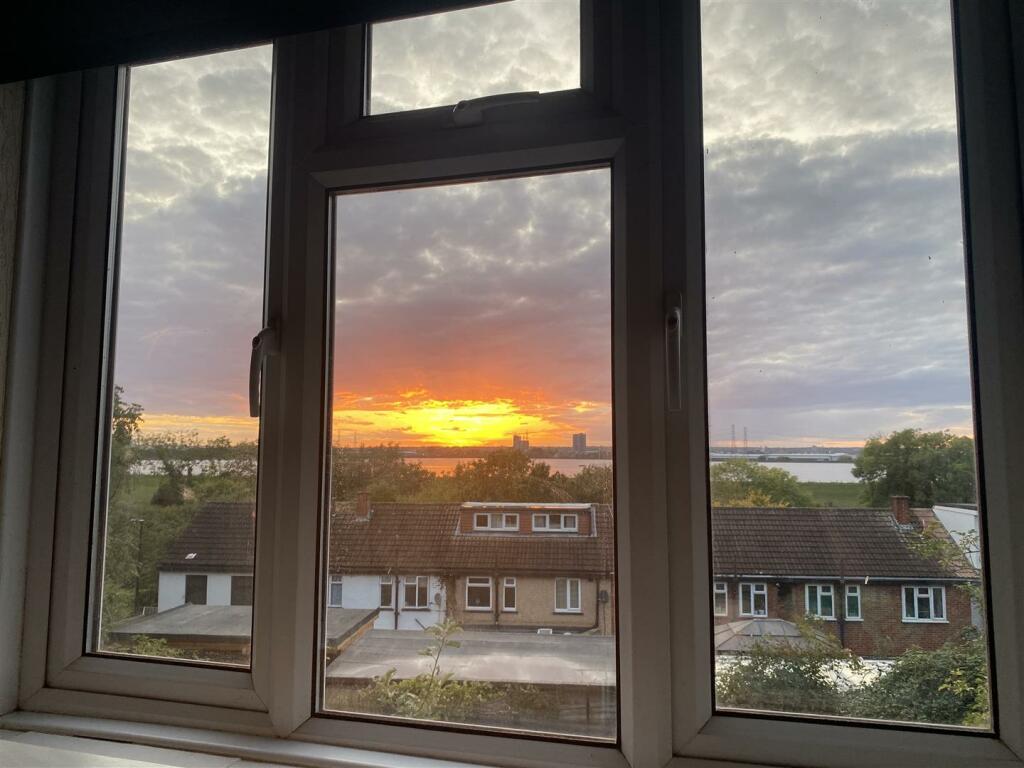 IMG_3660.jpeg