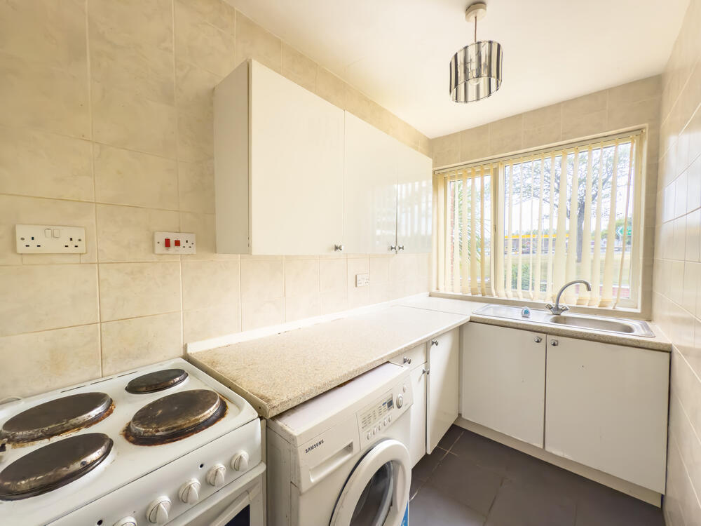 IMG 1126 T202507091809.jpg