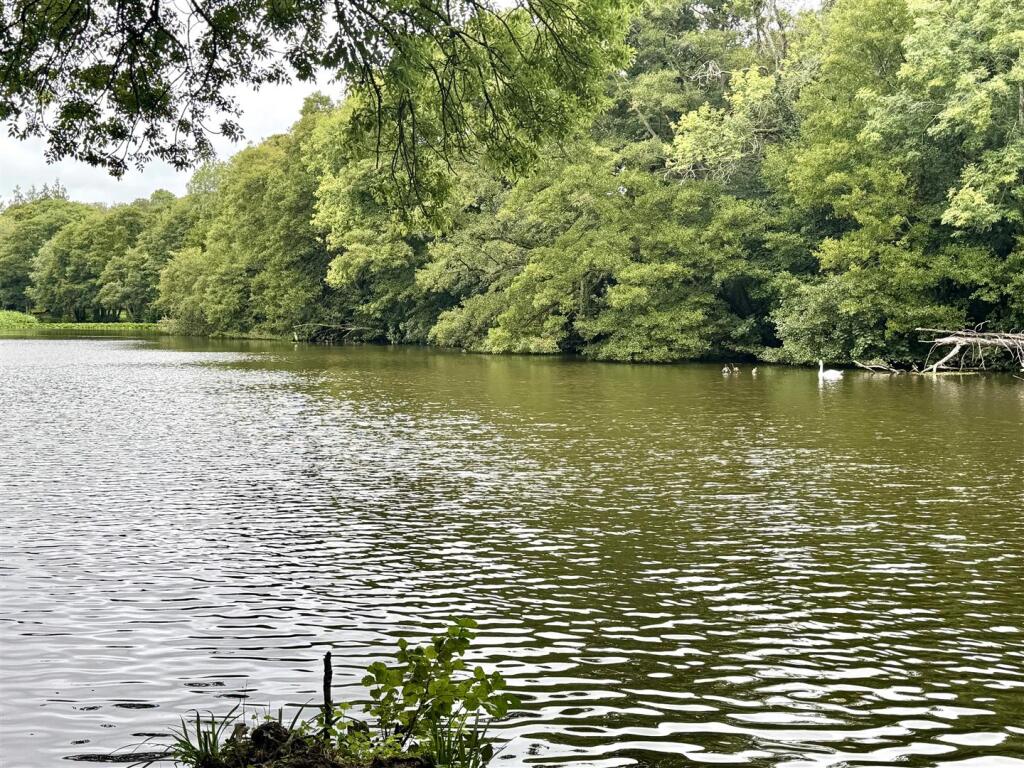 Newent Lake