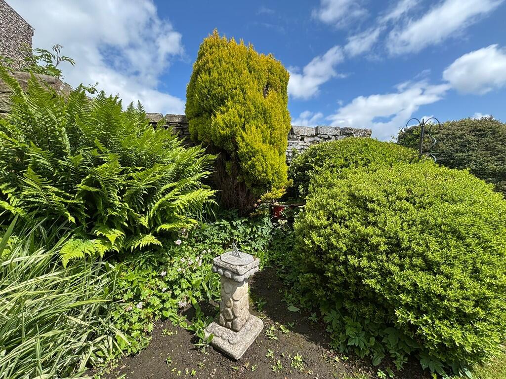 garden 1
