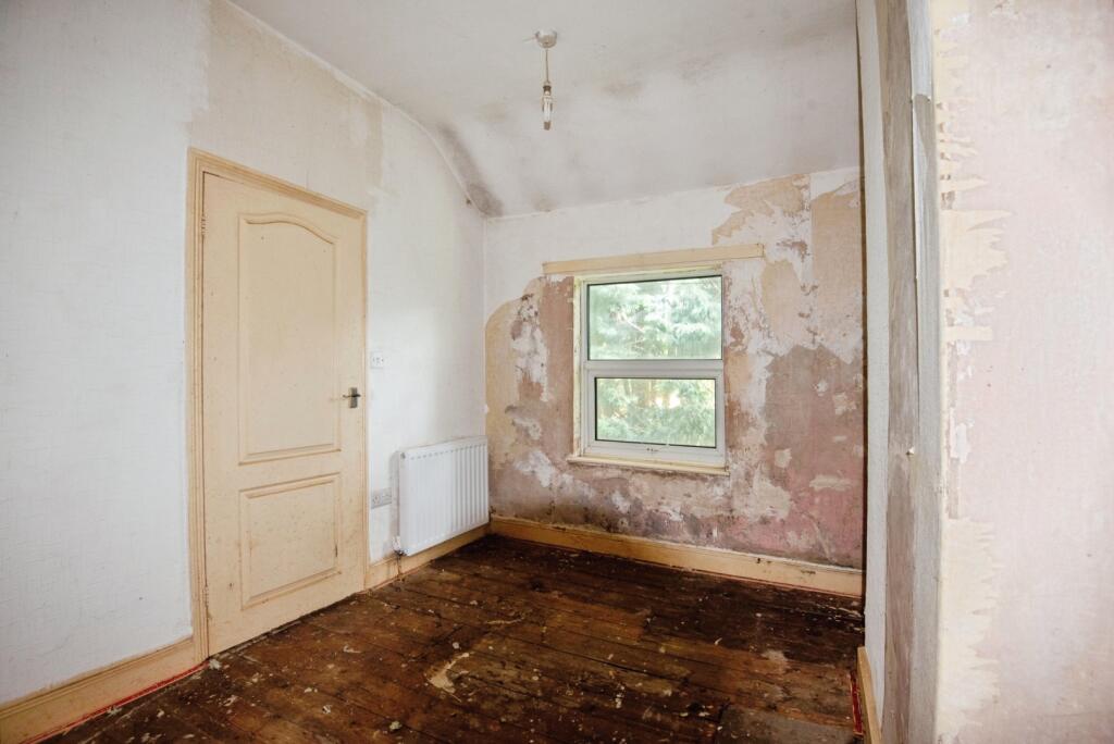 IMAGE 12