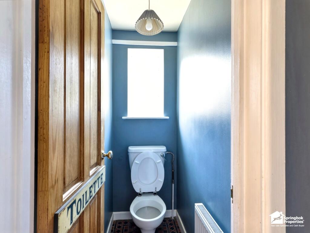 IMAGE 7