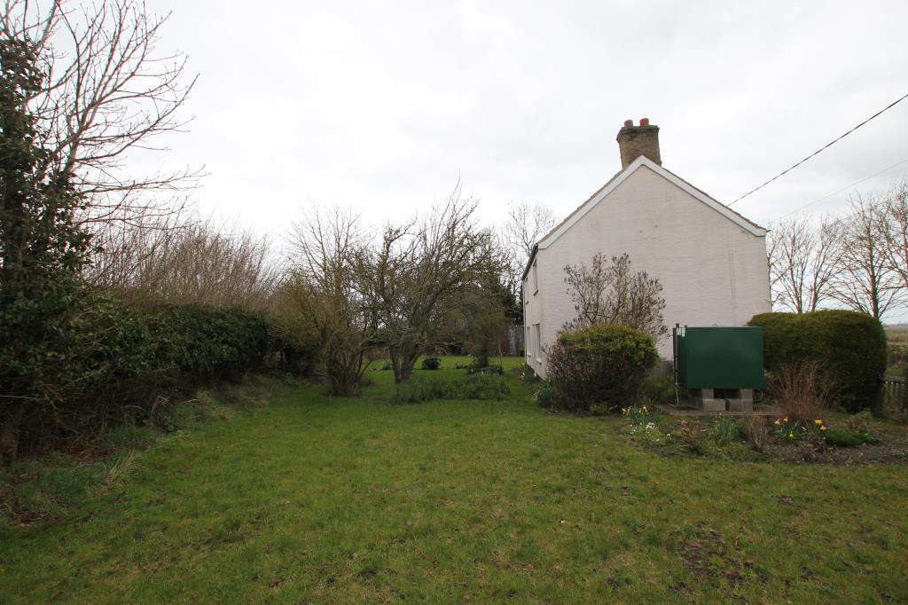 garden3.JPG