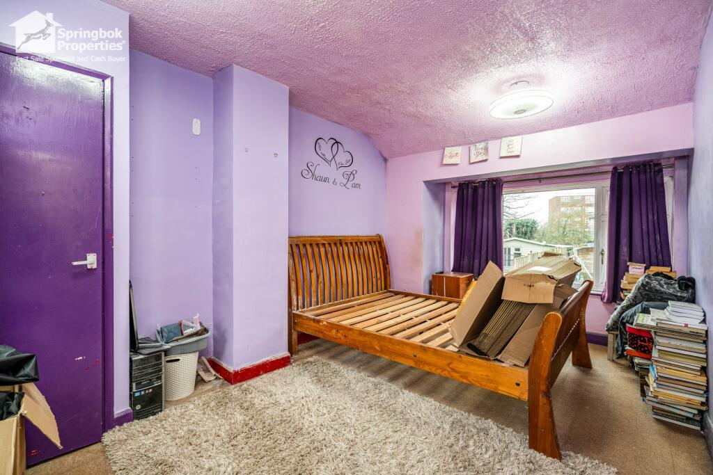 IMAGE 5