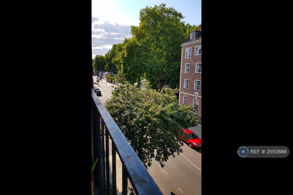 Summer View From Living Room 