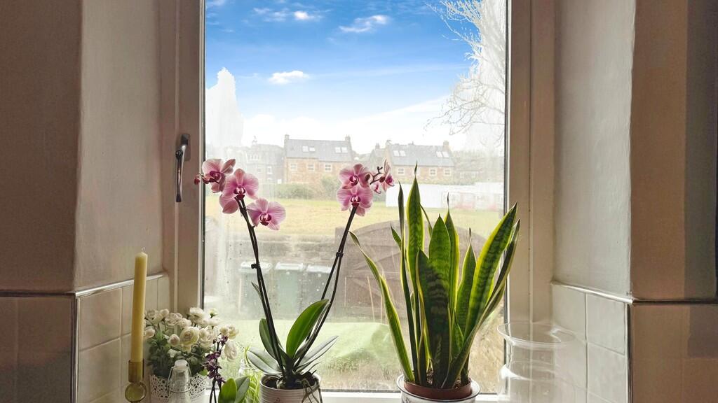 ee599318-image_pi...