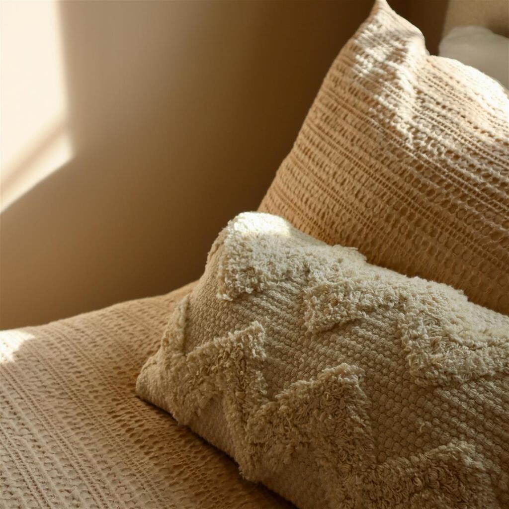 Close up 4 - Oak Hill .jpg