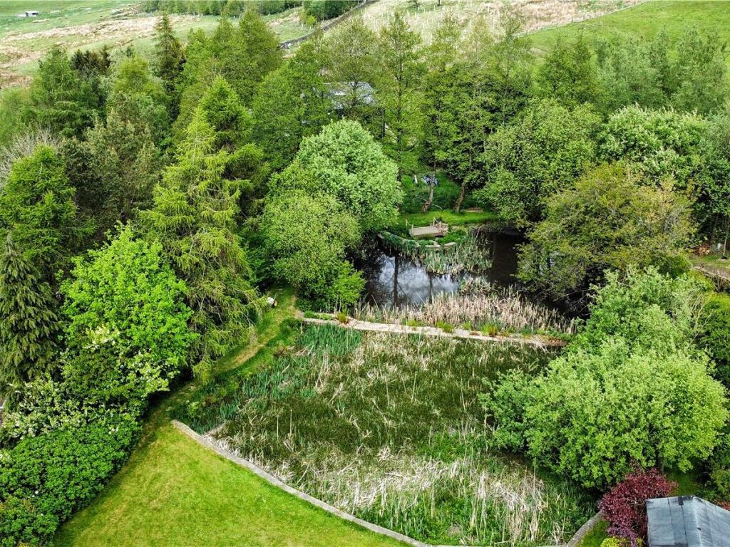 Aerial Image Of Pond