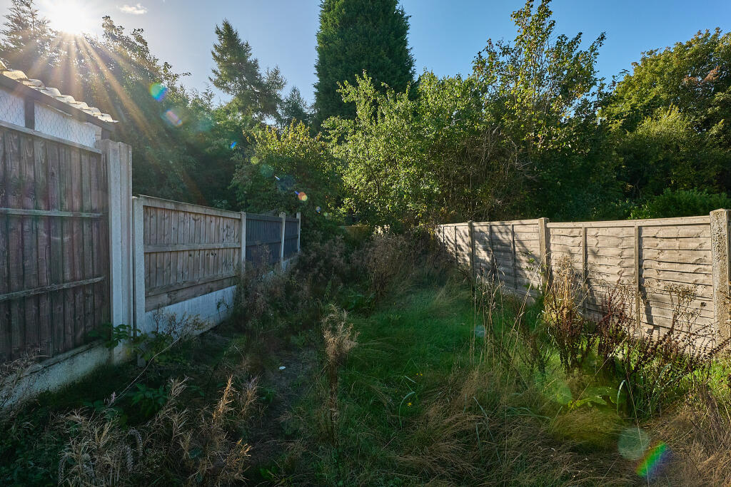 P1608390 T202509301923.jpg