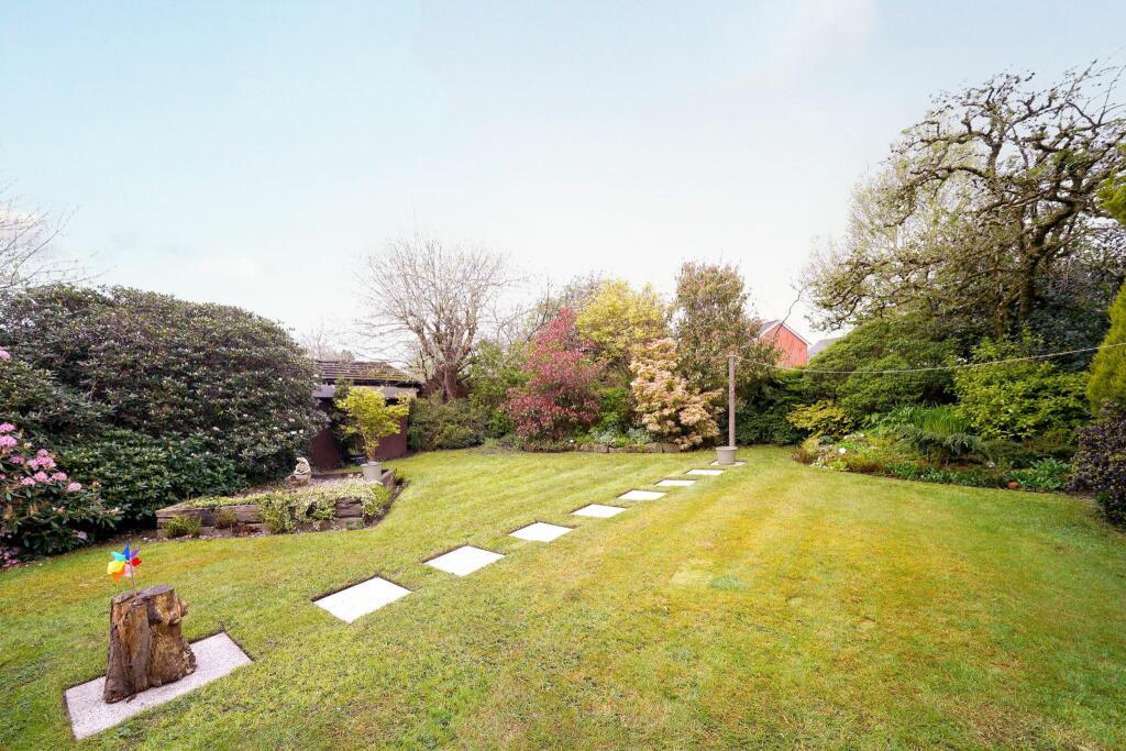 Photograph 34
