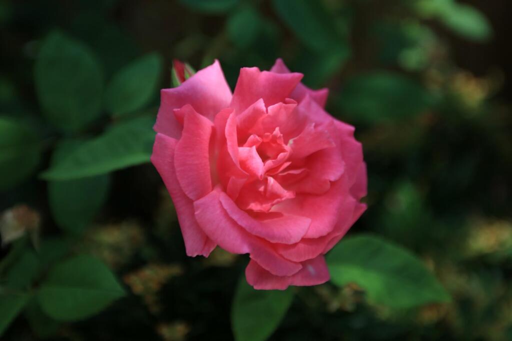 3Y6A8281.jpg