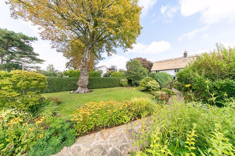 Front garden 