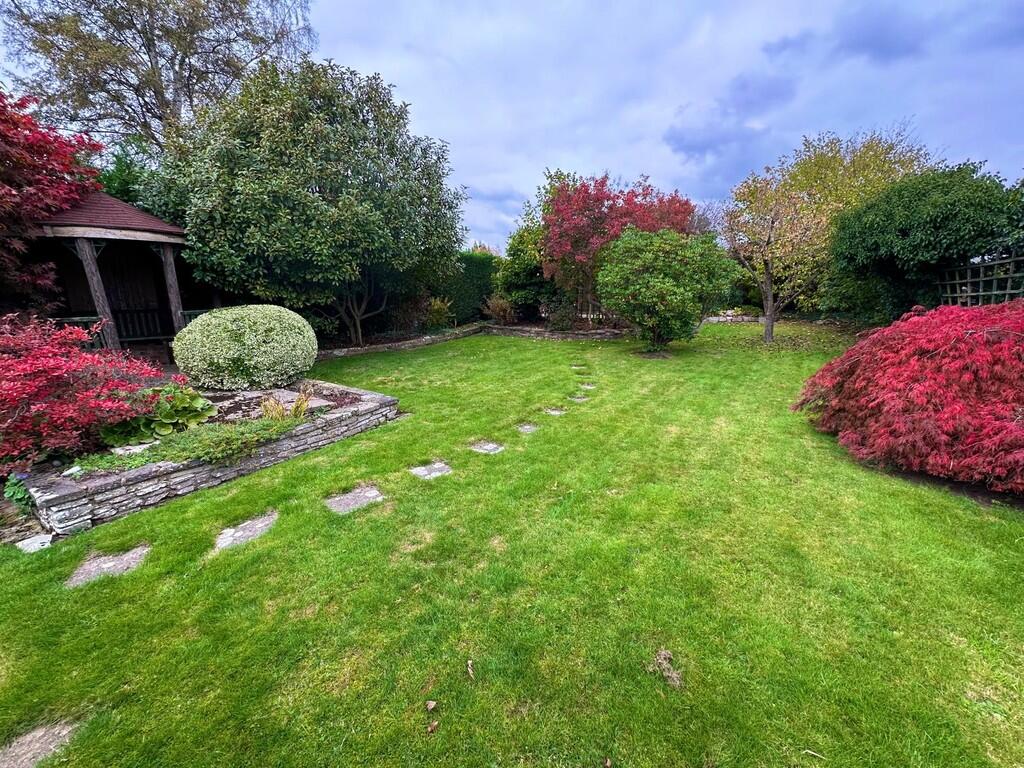 IMG-20251019-WA00...