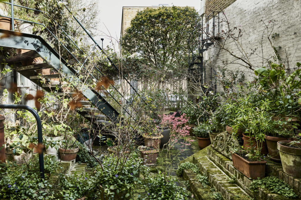 Canonbury-Lane-DG-24-1600x1067.jpg