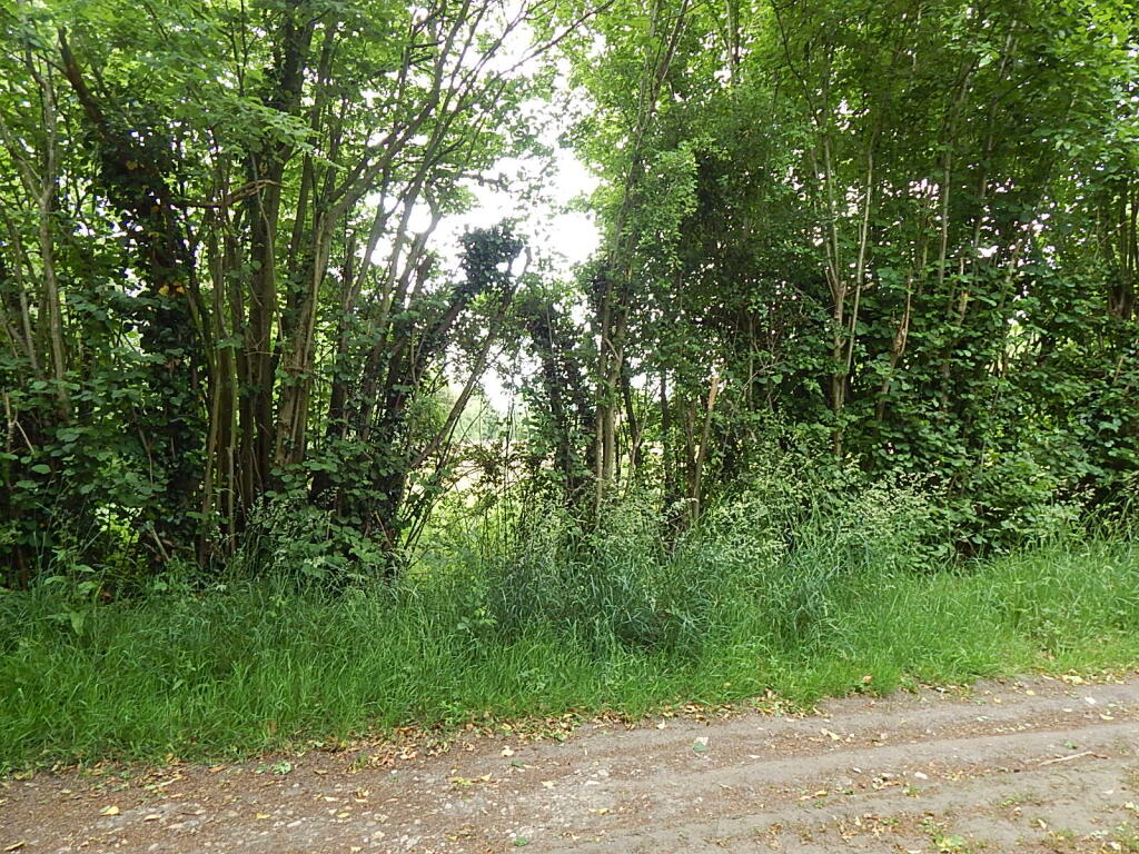 9 T202509241148.jpg