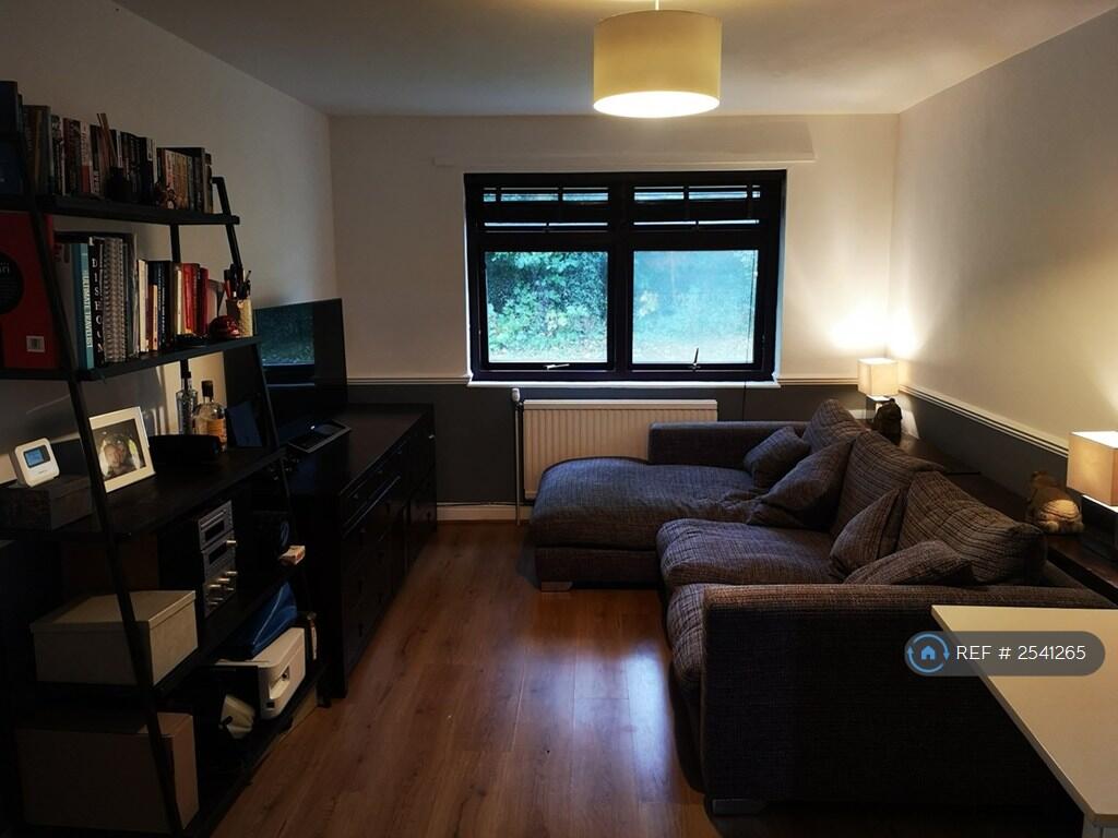 Living Room 1