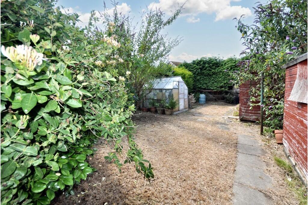 Back Garden