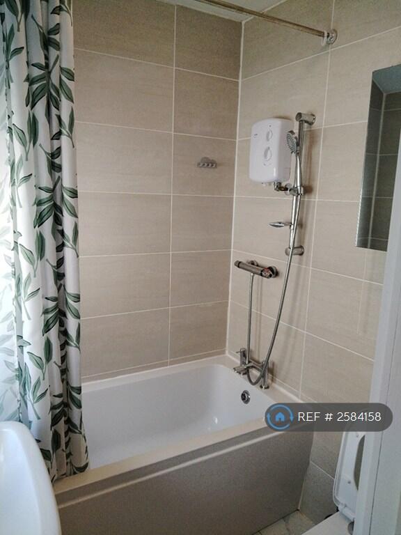 Bathtub With Electric And Gas Shower Unit