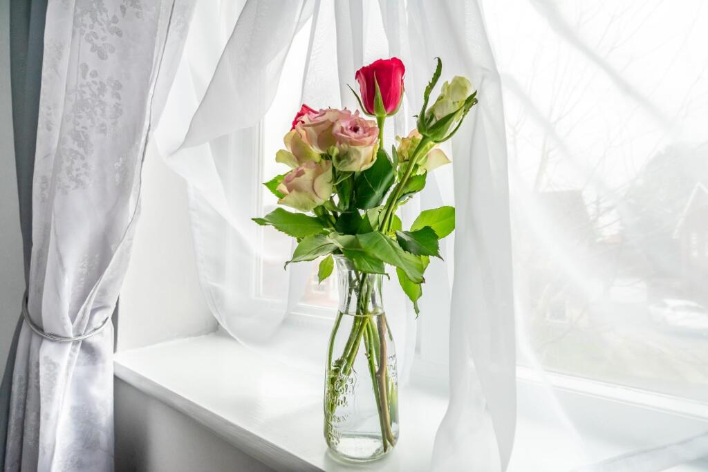 3 stephensons close-9.jpg