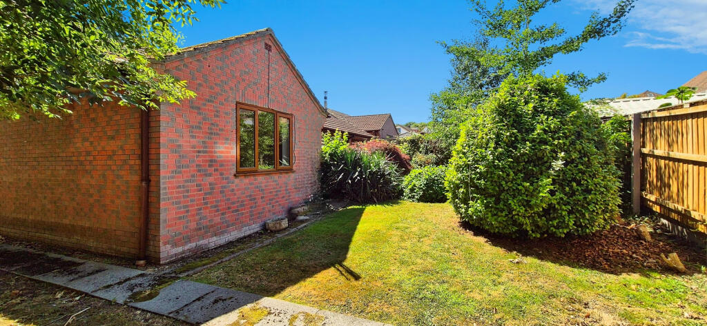 user_edited_photo-63a19646_user-edited-8b9f6b82-d0