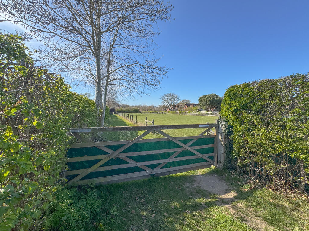 IMG 6007 T202504091618.jpg