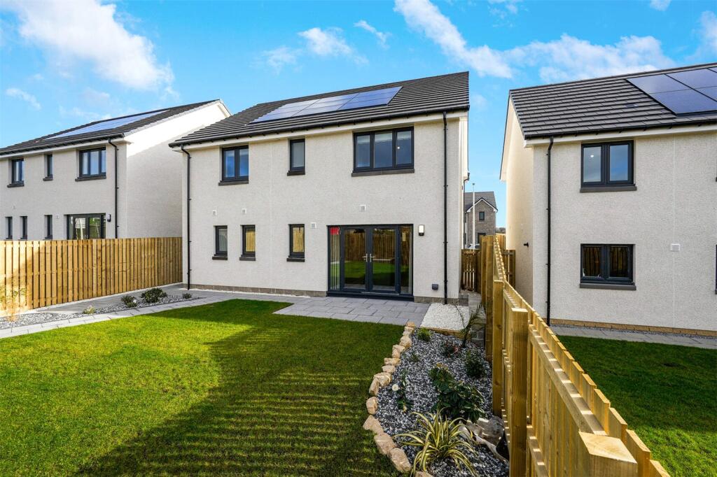 Back Garden