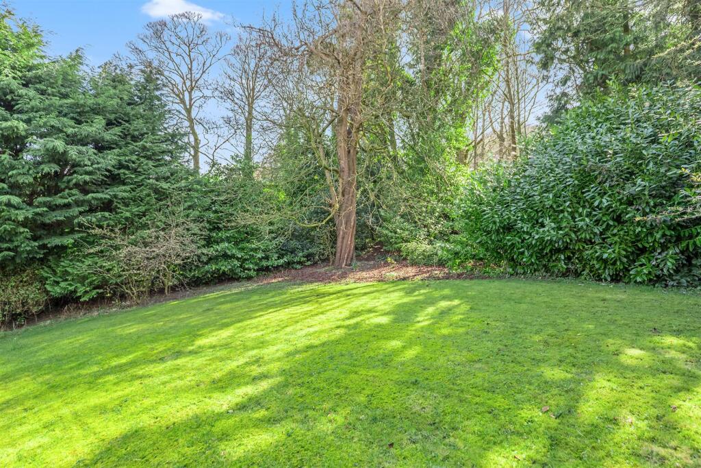Garden 2.jpg