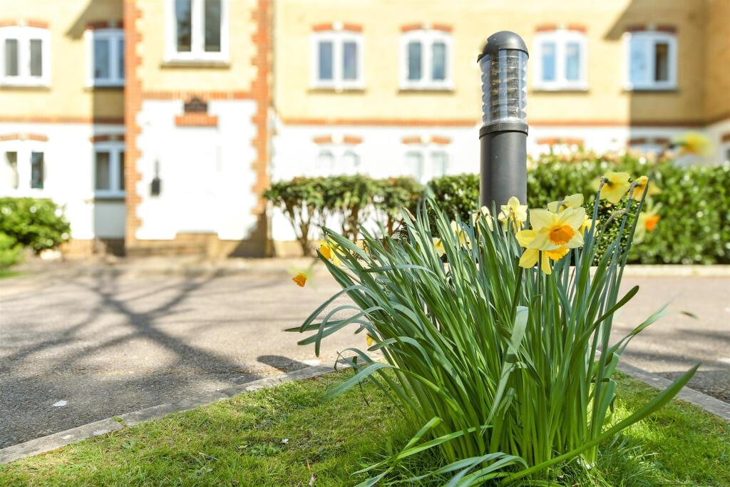 External Lifestyle Photograph