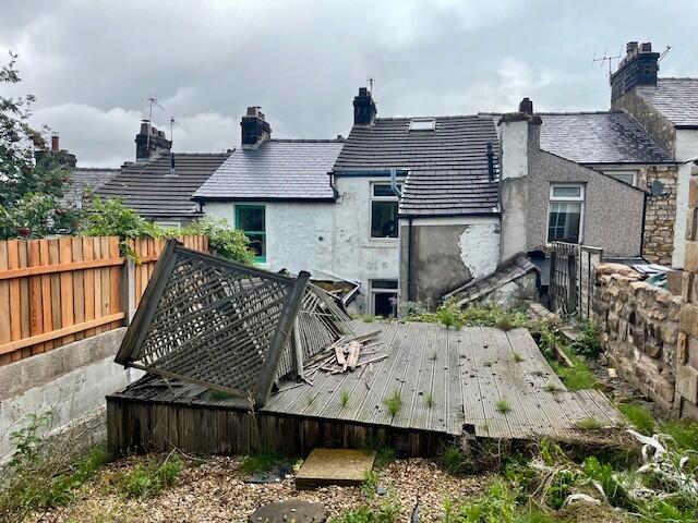 Garden 4 T202509221419.jpg