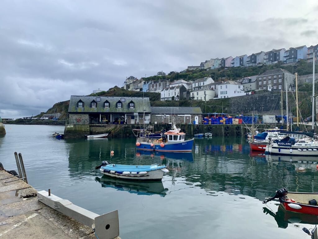 IMAGE 16