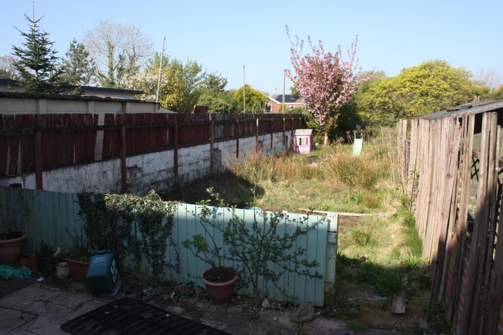 IMAGE 11