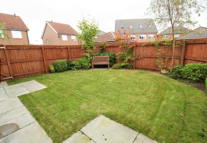 garden.jpg