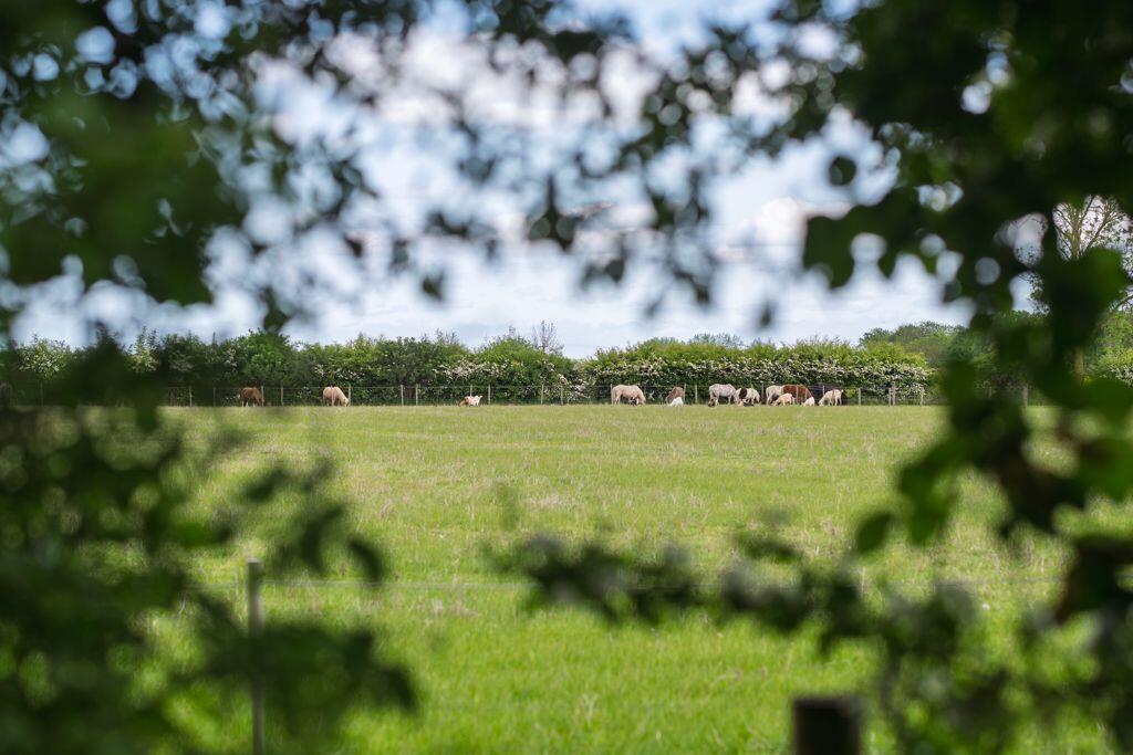 Rural Views
