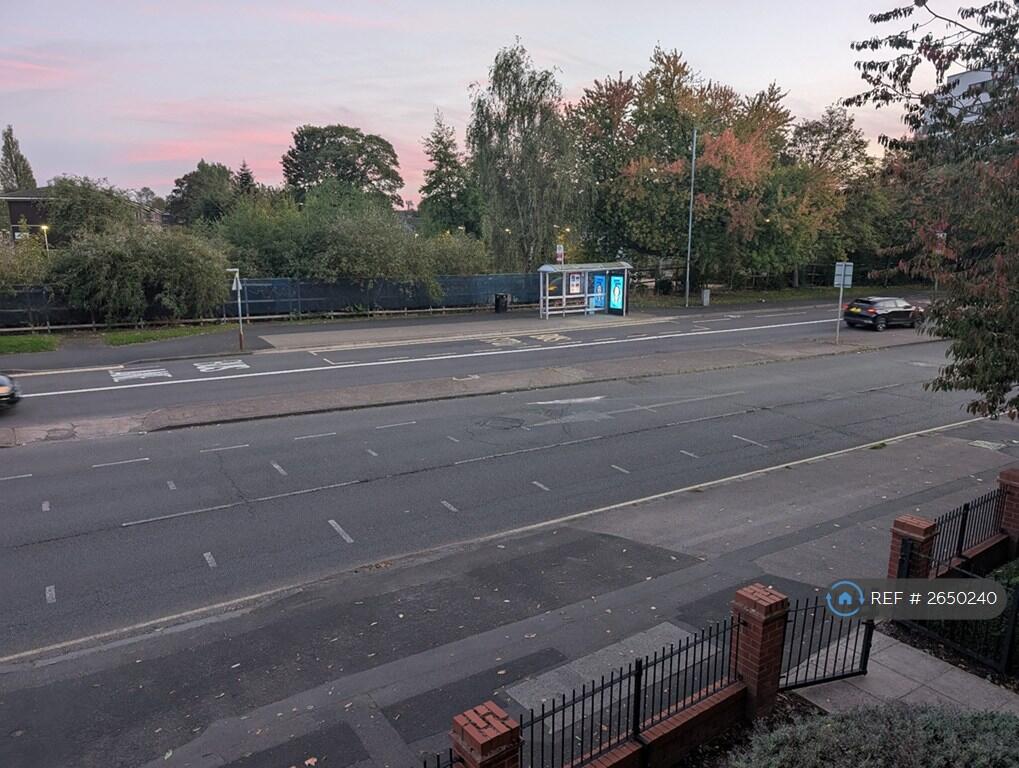 View From Juliette Balcony