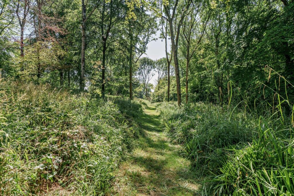 Woodland
