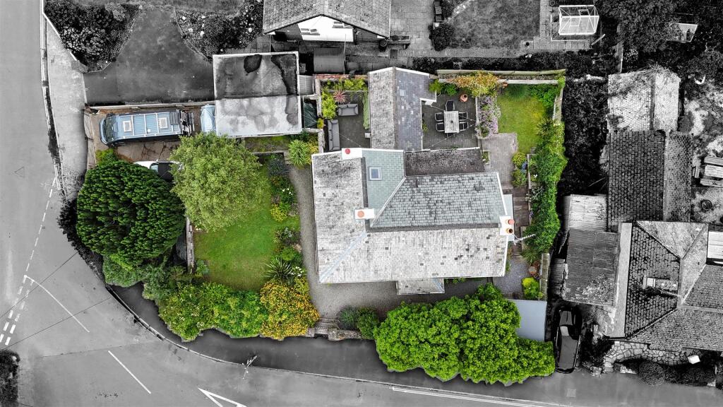 Birds Eye B&amp;W.jpg